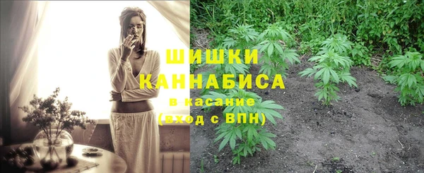 MESCALINE Каменка