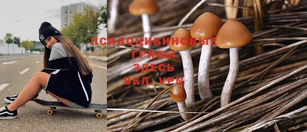 ПСИЛОЦИБИНОВЫЕ ГРИБЫ Каменногорск