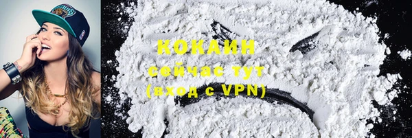 ПСИЛОЦИБИНОВЫЕ ГРИБЫ Каменногорск