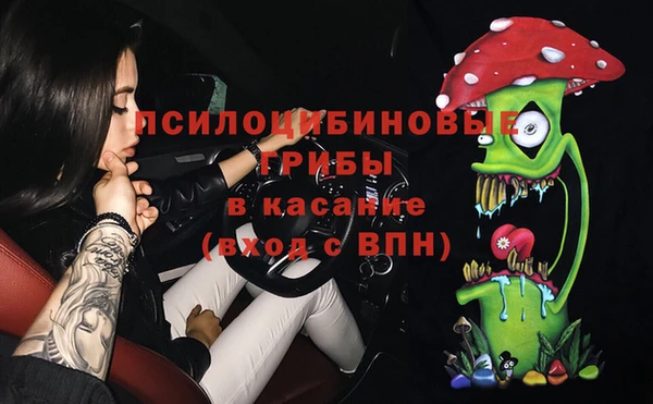 ПСИЛОЦИБИНОВЫЕ ГРИБЫ Каменногорск
