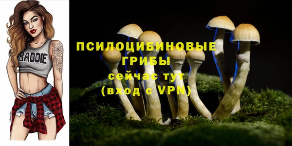 мяу мяу мука Каменск-Шахтинский