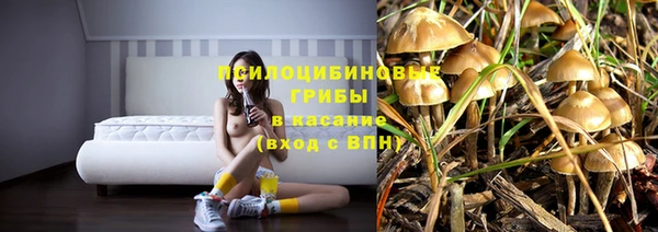 ПСИЛОЦИБИНОВЫЕ ГРИБЫ Каменногорск